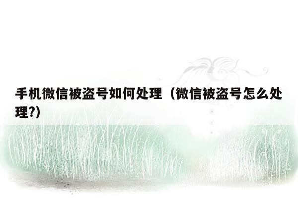 手机微信被盗号如何处理(微信被盗号怎么处理?)