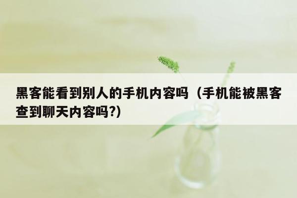 黑客能看到别人的手机内容吗(手机能被黑客查到聊天内容吗?)