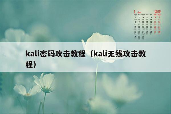 kali密码攻击教程(kali无线攻击教程)