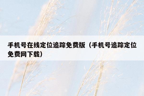 手机号在线定位追踪免费版(手机号追踪定位免费网下载)