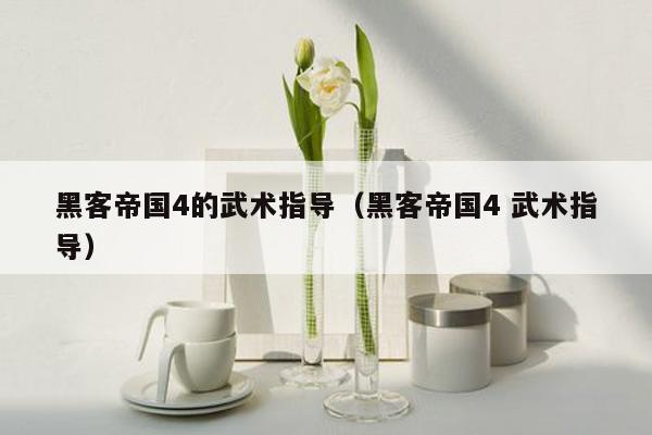 黑客帝国4的武术指导(黑客帝国4 武术指导)