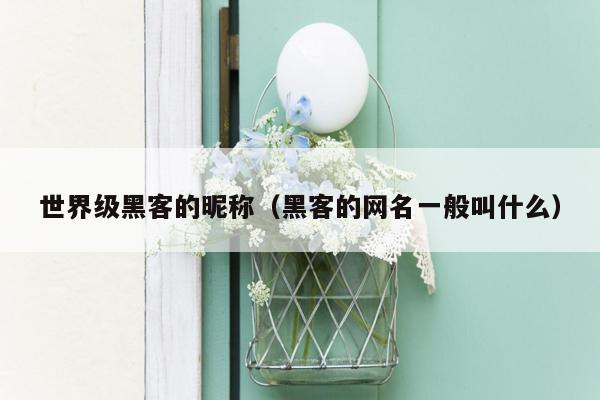 世界级黑客的昵称(黑客的网名一般叫什么)