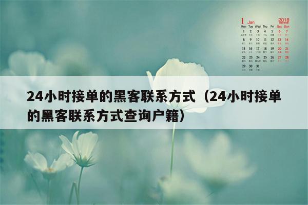 24小时接单的黑客联系方式(24小时接单的黑客联系方式查询户籍)