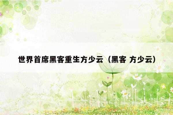 世界首席黑客重生方少云(黑客 方少云)