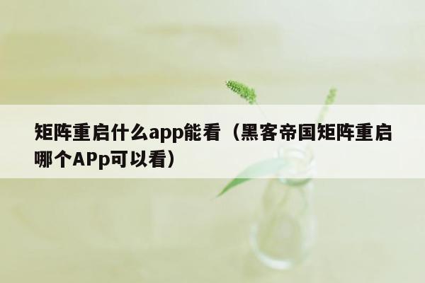 矩阵重启什么app能看(黑客帝国矩阵重启哪个APp可以看)