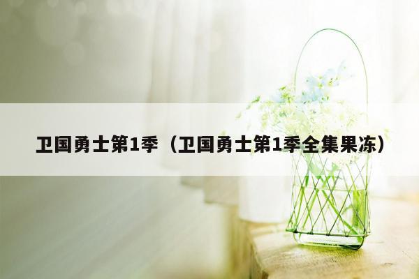 卫国勇士第1季(卫国勇士第1季全集果冻)