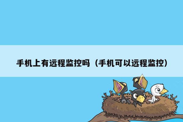 手机上有远程监控吗(手机可以远程监控)