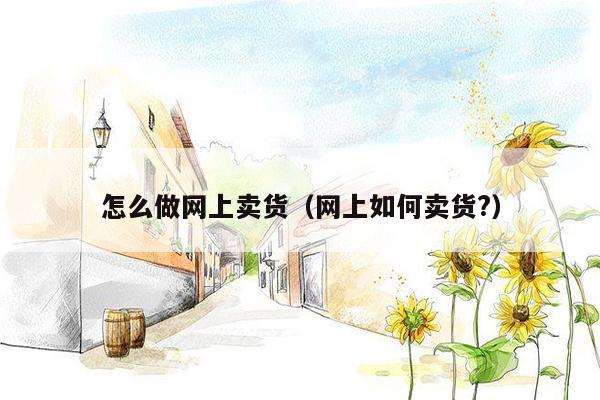 怎么做网上卖货(网上如何卖货?)