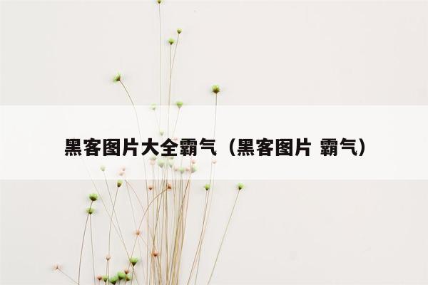 黑客图片大全霸气(黑客图片 霸气)