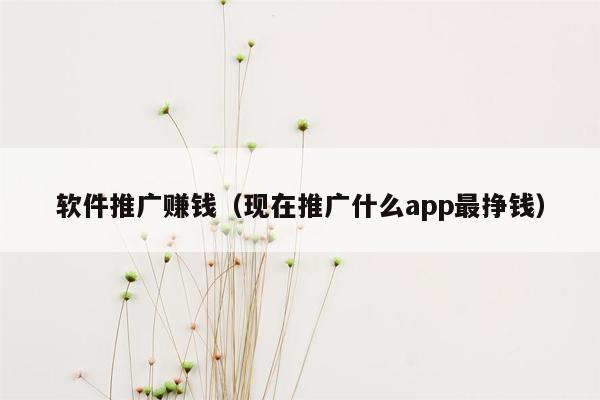 软件推广赚钱(现在推广什么app最挣钱)