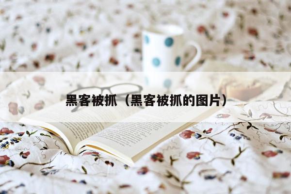 黑客被抓(黑客被抓的图片)