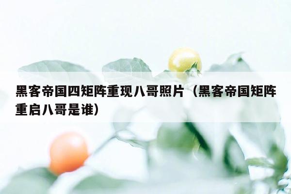 黑客帝国四矩阵重现八哥照片(黑客帝国矩阵重启八哥是谁)
