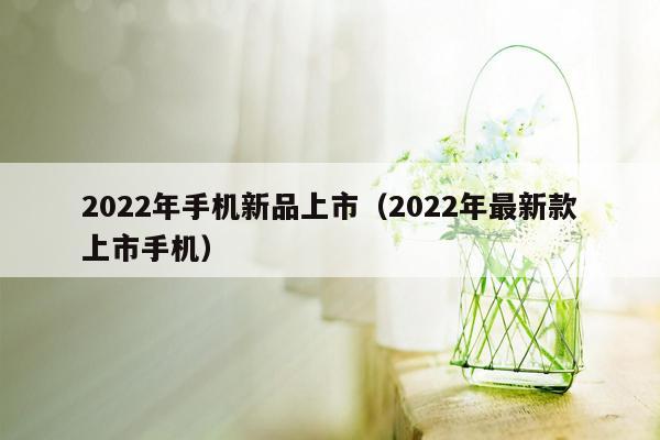 2022年手机新品上市(2022年最新款上市手机)