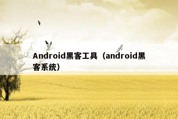 Android黑客工具(android黑客系统)