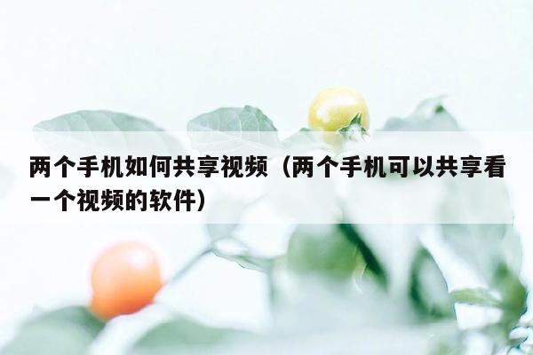 两个手机如何共享视频（两个手机可以共享看一个视频的软件）