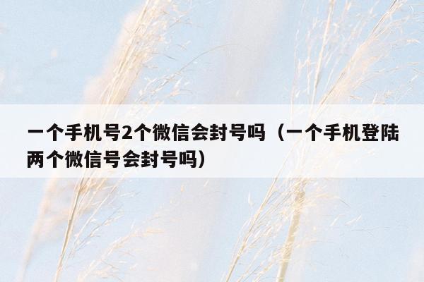 一个手机号2个微信会封号吗(一个手机登陆两个微信号会封号吗)