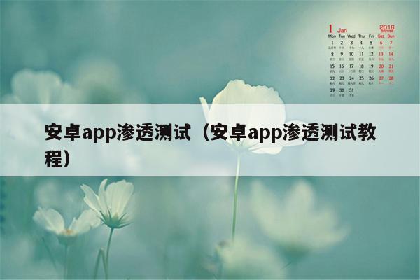 安卓app渗透测试(安卓app渗透测试教程)