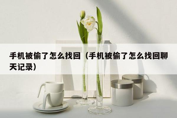 手机被偷了怎么找回(手机被偷了怎么找回聊天记录)