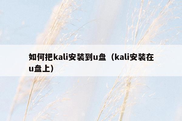 如何把kali安装到u盘（kali安装在u盘上）