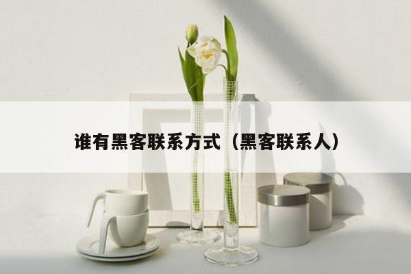 谁有黑客联系方式(黑客联系人)