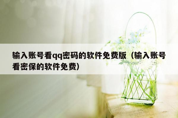 输入账号看qq密码的软件免费版（输入账号看密保的软件免费）