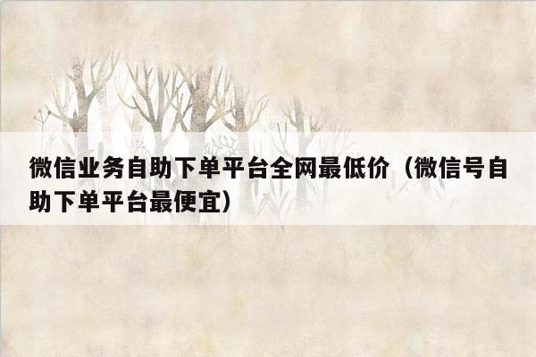 微信业务自助下单平台全网最低价（微信号自助下单平台最便宜）