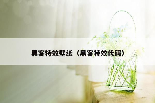 黑客特效壁纸（黑客特效代码）