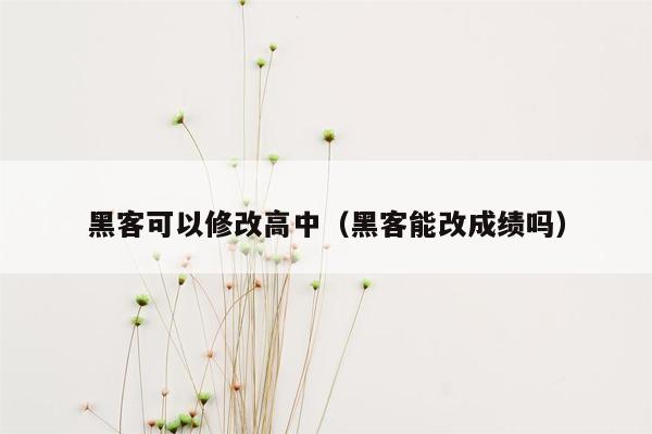 黑客可以修改高中（黑客能改成绩吗）