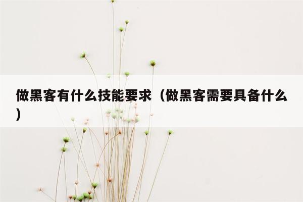 做黑客有什么技能要求（做黑客需要具备什么）