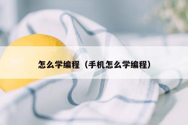 怎么学编程（手机怎么学编程）