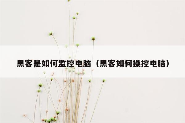 黑客是如何监控电脑（黑客如何操控电脑）