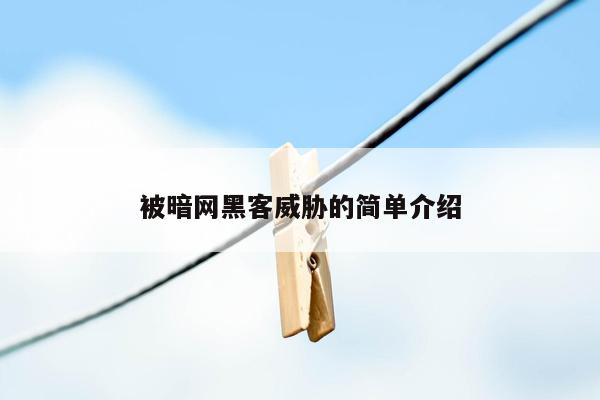 被暗网黑客威胁的简单介绍