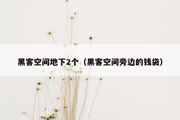 黑客空间地下2个（黑客空间旁边的钱袋）