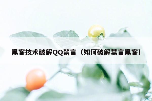 黑客技术破解QQ禁言（如何破解禁言黑客）