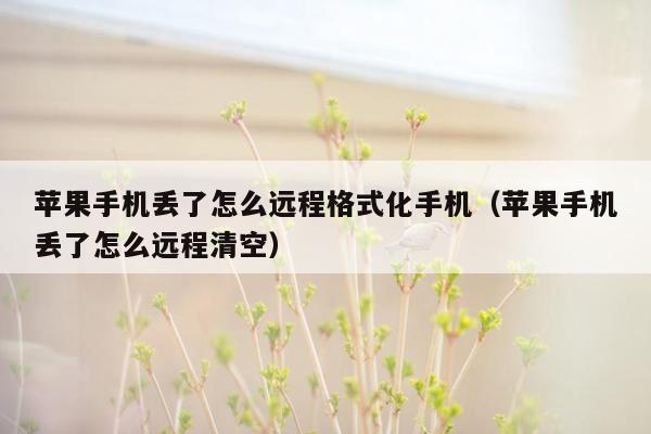 苹果手机丢了怎么远程格式化手机（苹果手机丢了怎么远程清空）