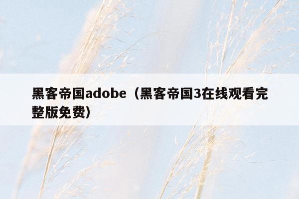 黑客帝国adobe（黑客帝国3在线观看完整版免费）