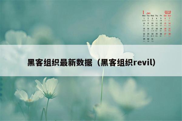 黑客组织最新数据（黑客组织revil）