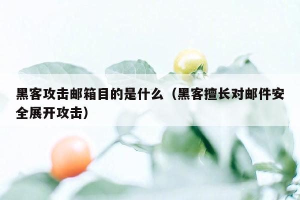 黑客攻击邮箱目的是什么（黑客擅长对邮件安全展开攻击）