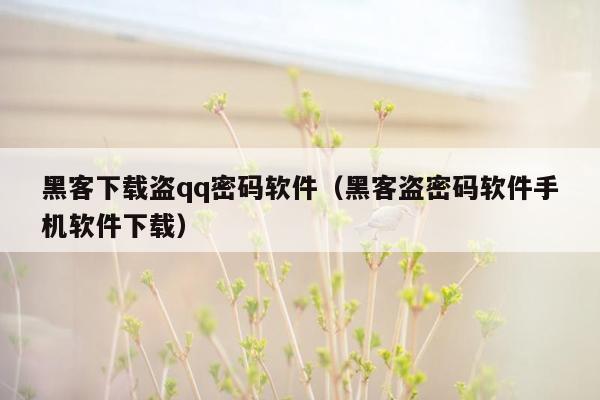 黑客下载盗qq密码软件（黑客盗密码软件手机软件下载）