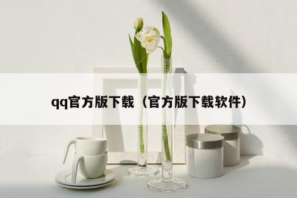 qq官方版下载（官方版下载软件）