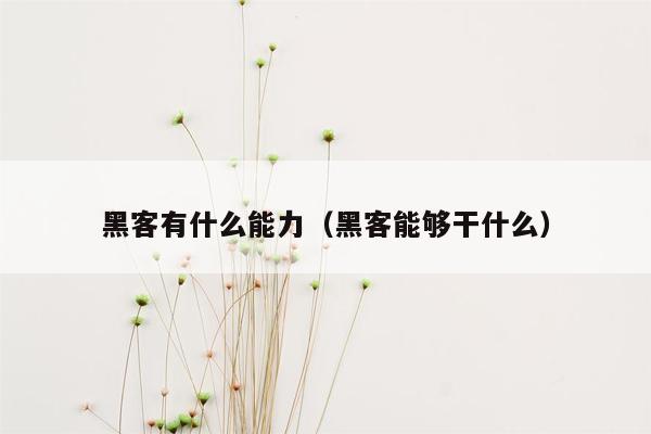 黑客有什么能力（黑客能够干什么）