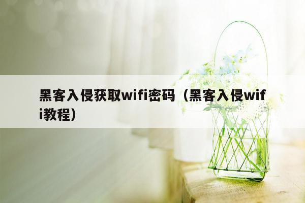 黑客入侵获取wifi密码（黑客入侵wifi教程）