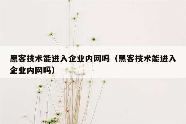 黑客技术能进入企业内网吗（黑客技术能进入企业内网吗）