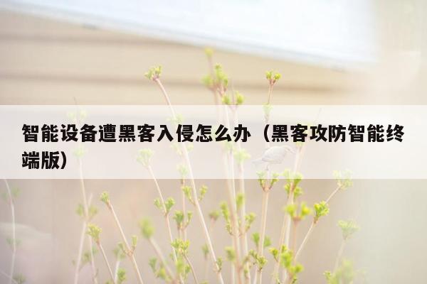 智能设备遭黑客入侵怎么办（黑客攻防智能终端版）